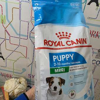 Корм для щенков ROYAL CANIN Puppy мелких пород 2кг: отзыв пользователя. Зоомагазин Зоозавр