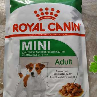 Корм для собак ROYAL CANIN Adult мелких размеров от 10 месяцев кусочки в соусе пауч 85г: отзыв пользователя. Зоомагазин Зоозавр