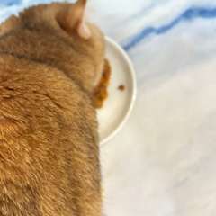 Фото отзыва 10977323