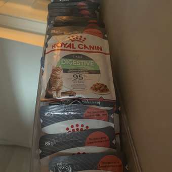 Корм для кошек Royal Canin 85г Digestive Care соус: отзыв пользователя. Зоомагазин Зоозавр
