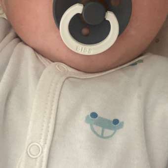 Пустышка BIBS латекс классическая от 0 мес.: отзыв пользователя Детский Мир