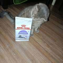 Фото отзыва 10761873