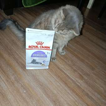 Корм сухой для кошек ROYAL CANIN Sterilised 400г пожилых стерилизованных: отзыв пользователя. Зоомагазин Зоозавр