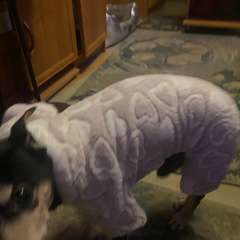 Фото отзыва 10763159