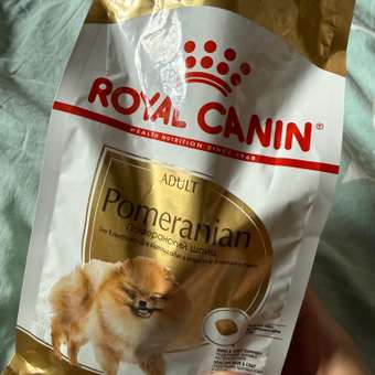Корм для собак ROYAL CANIN породы померанский шпиц 0.5кг: отзыв пользователя. Зоомагазин Зоозавр
