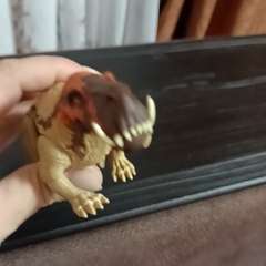 Видео отзыва 10833305