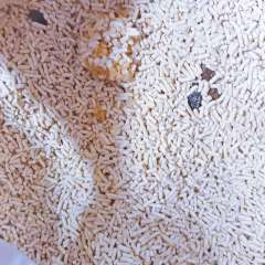 Фото отзыва 7519894