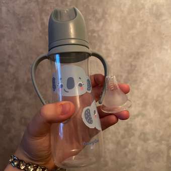 Бутылочка BabyGo 250 мл: отзыв пользователя Детский Мир