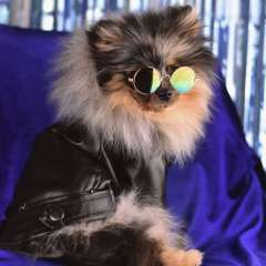 Фото отзыва 6601012