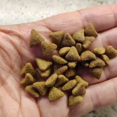 Фото отзыва 10821951