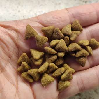 Корм сухой для кошек ROYAL CANIN Hairball Care 2кг для профилактики образования волосяных комочков в желудочно-кишечном тракте: отзыв пользователя. Зоомагазин Зоозавр