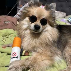 Фото отзыва 11163736