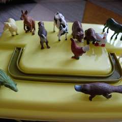 Фото отзыва 10698490