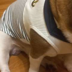 Фото отзыва 10968240