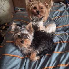 Фото отзыва 10635683