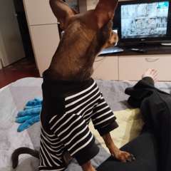 Фото отзыва 11028980