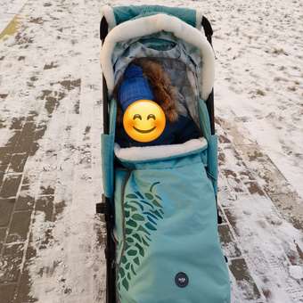 Санки-коляска Ника: отзыв пользователя Детский Мир