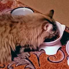 Фото отзыва 10674244