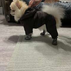 Фото отзыва 10721580