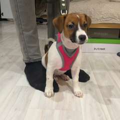 Фото отзыва 10579701