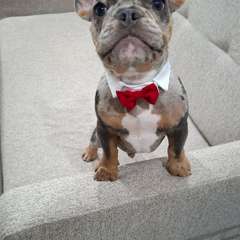 Фото отзыва 11322711