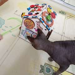 Фото отзыва 5619587