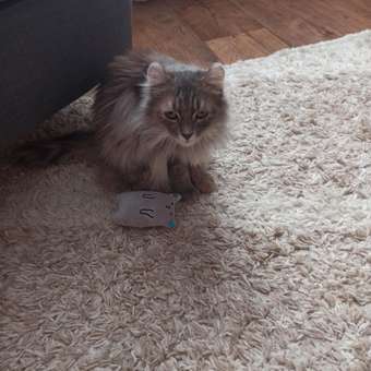 Игрушка для кошек Barbaks Мятный кот мягкий 11см наполнитель 100% кошачья мята: отзыв пользователя. Зоомагазин Зоозавр