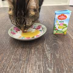 Фото отзыва 10733398