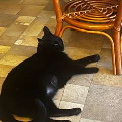 Фото отзыва 10877515