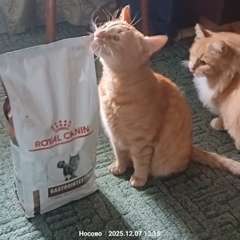 Фото отзыва 10730980