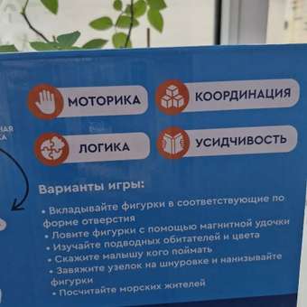 Игрушка Планета творчества сортер магнитная рыбалка деревянная: отзыв пользователя Детский Мир