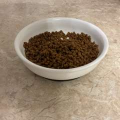 Фото отзыва 10461744