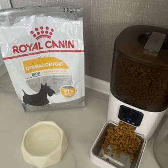 Корм для собак ROYAL CANIN Mini Dermacomfort при раздраженной и зудящей коже 3кг: отзыв пользователя. Зоомагазин Зоозавр