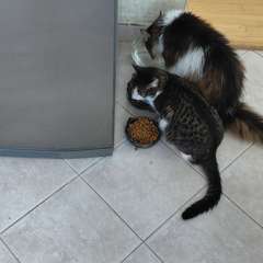 Фото отзыва 10756803