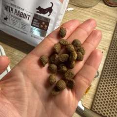 Фото отзыва 11068397