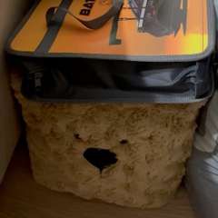 Видео отзыва 10690785