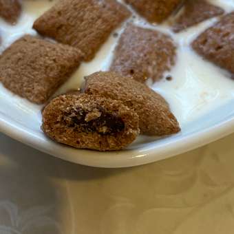 Подушечки Фанни Ямми мультизлаковые с шоколадной начинкой 220г: отзыв пользователя Детский Мир