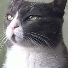 Фото отзыва 10821924