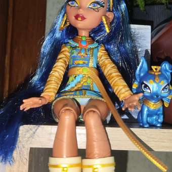 Кукла модельная Monster High Cleo de Nile: отзыв пользователя ДетМир