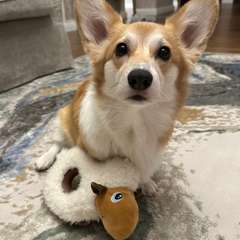 Фото отзыва 10609354