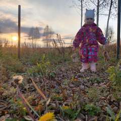 Фото отзыва 10536859