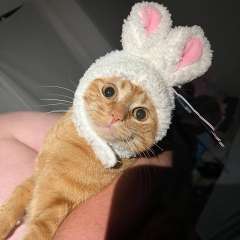 Фото отзыва 9912180