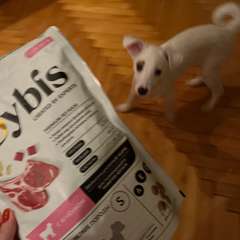 Фото отзыва 10944391