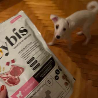 Корм для щенков Roybis 0.8кг с ягненком сухой полнорационный для мелких пород: отзыв пользователя. Зоомагазин Зоозавр