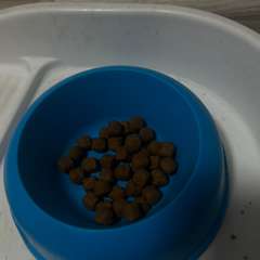 Фото отзыва 10591424