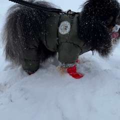 Фото отзыва 10861890