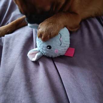 Игрушка для собак Barbaks Кролик-мяч внутри пищит 13см: отзыв пользователя. Зоомагазин Зоозавр