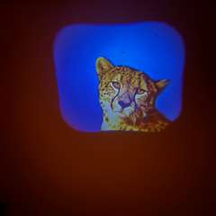 Фото отзыва 10520130