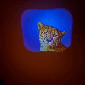 Игрушка Zabiaka: отзыв пользователя Детский Мир