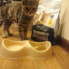 Фото отзыва 10781213